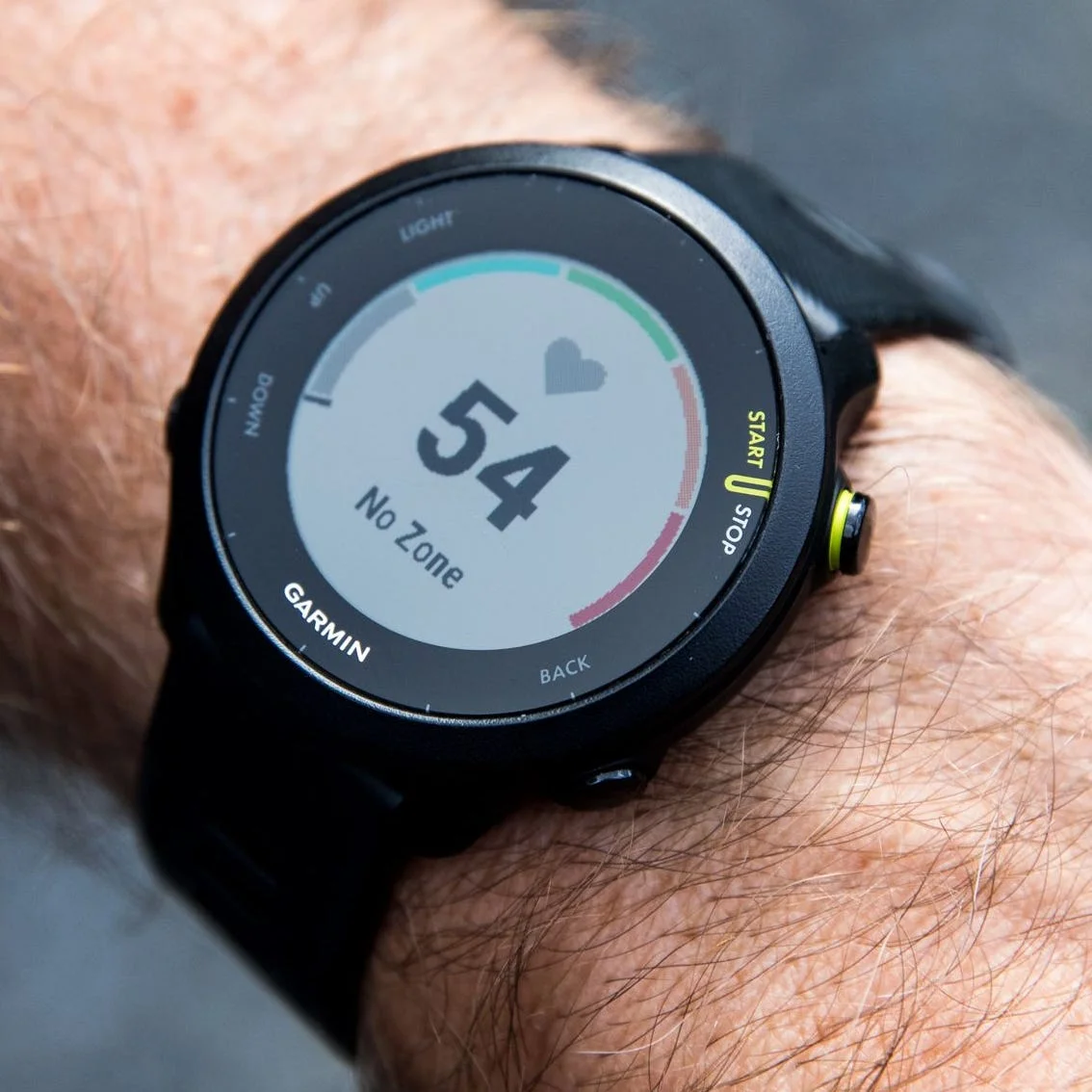 Forerunner 55 Running Watch